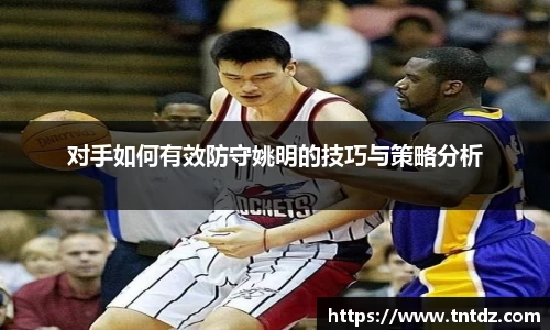 对手如何有效防守姚明的技巧与策略分析