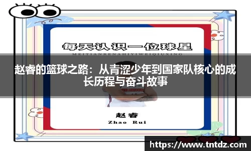 赵睿的篮球之路：从青涩少年到国家队核心的成长历程与奋斗故事
