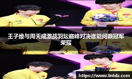 ng娱乐